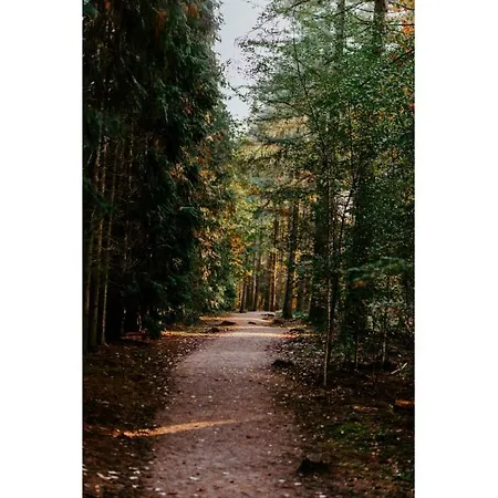 Resort Heivlinder Comfort 42p Ermelo