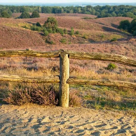 Resort Heivlinder Comfort 42p *