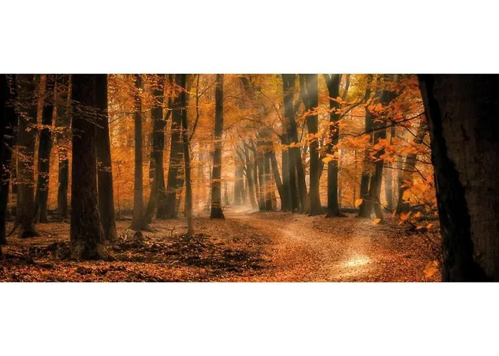 Ośrodek wypoczynkowy Heivlinder Comfort 42p