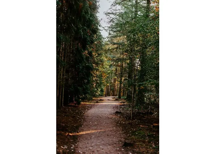 Ośrodek wypoczynkowy Heivlinder Comfort 42p Ermelo