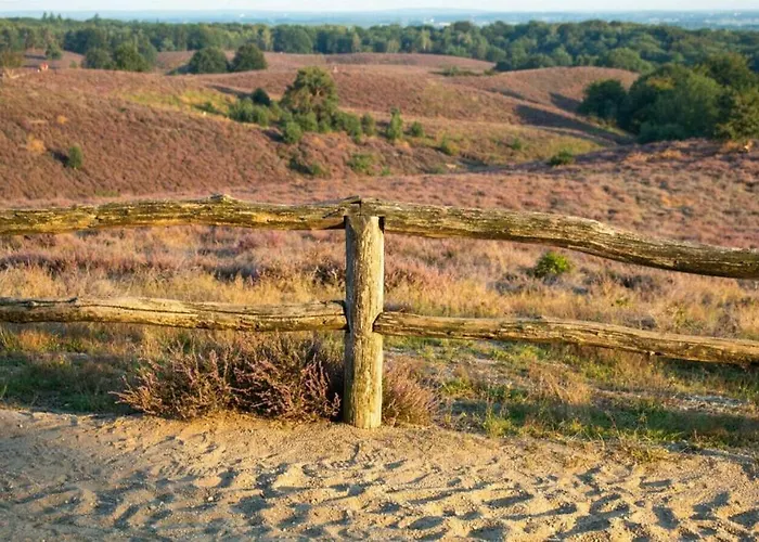 Ośrodek wypoczynkowy Heivlinder Comfort 42p *