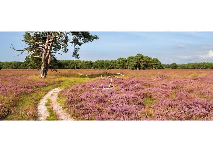 Heivlinder Comfort 42p * Ermelo