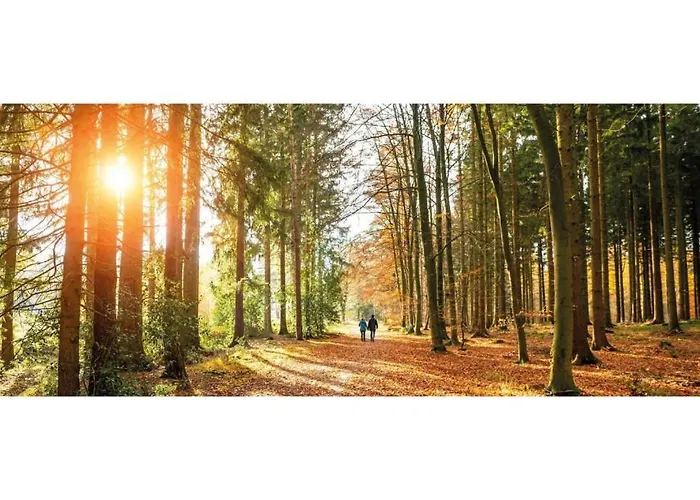 Ośrodek wypoczynkowy Heivlinder Comfort 42p *