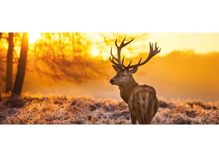 Station touristique Heivlinder Comfort 42p Ermelo