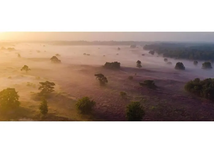 Heivlinder Comfort 42p *