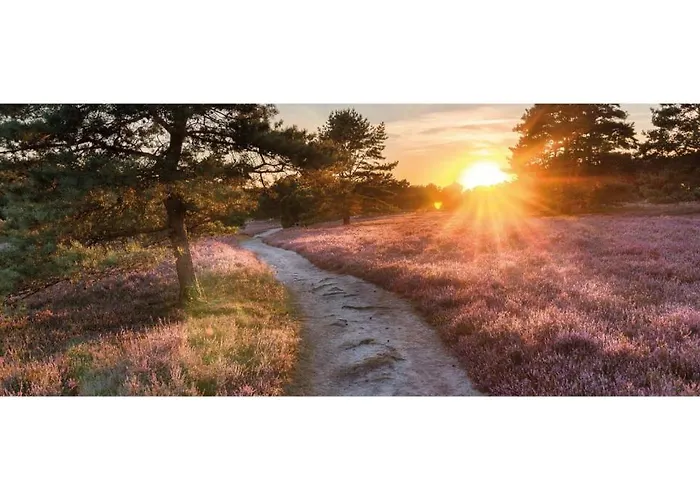 Heivlinder Comfort 42p * Ermelo