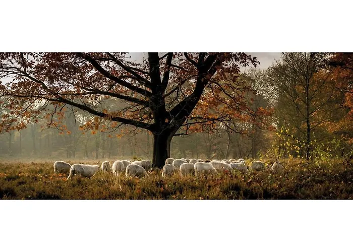 Station touristique Heivlinder Comfort 42p